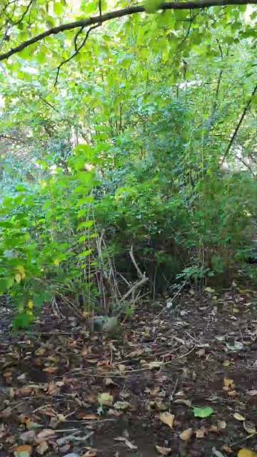 Loverber  07-10-2021 Recorded Video Topless